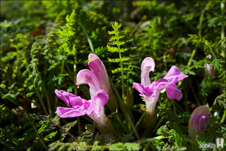 DSCF8194.jpg