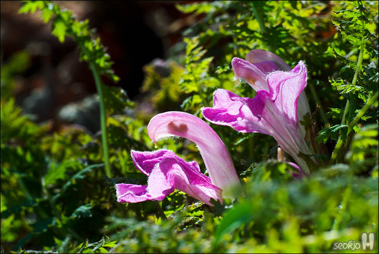 DSCF8205.jpg