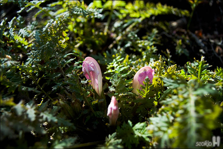 DSCF8189.jpg