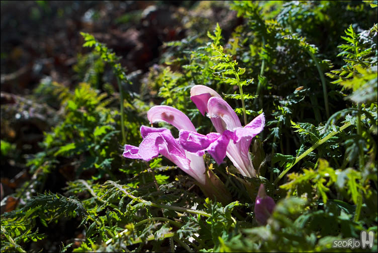 DSCF8197.jpg