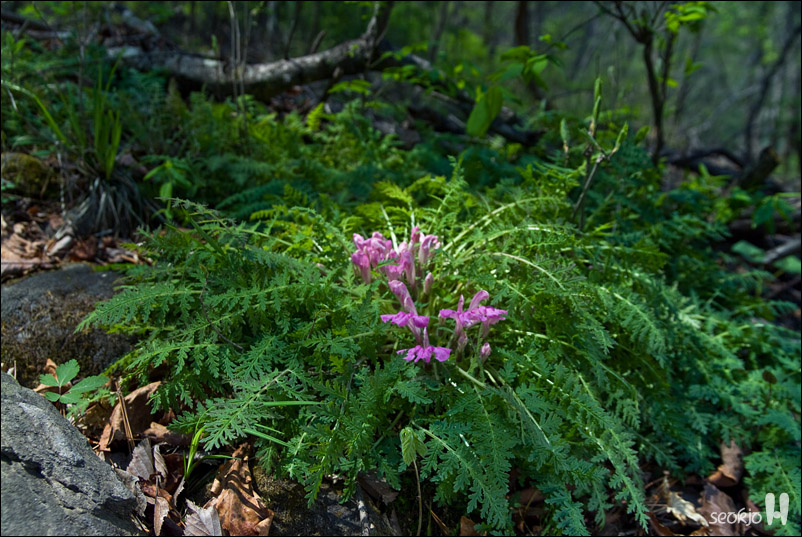 DSCF7935.jpg