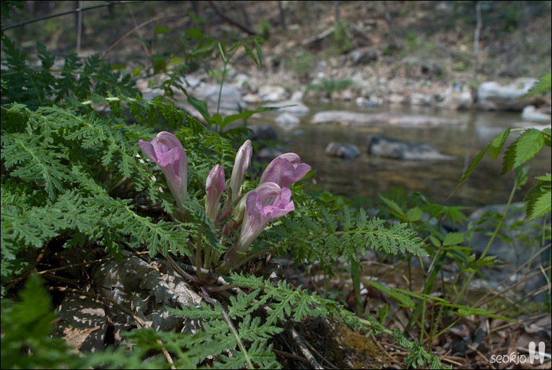 DSCF7955.jpg