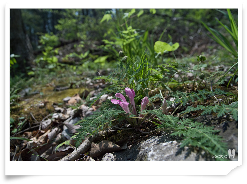 DSCF7914.jpg