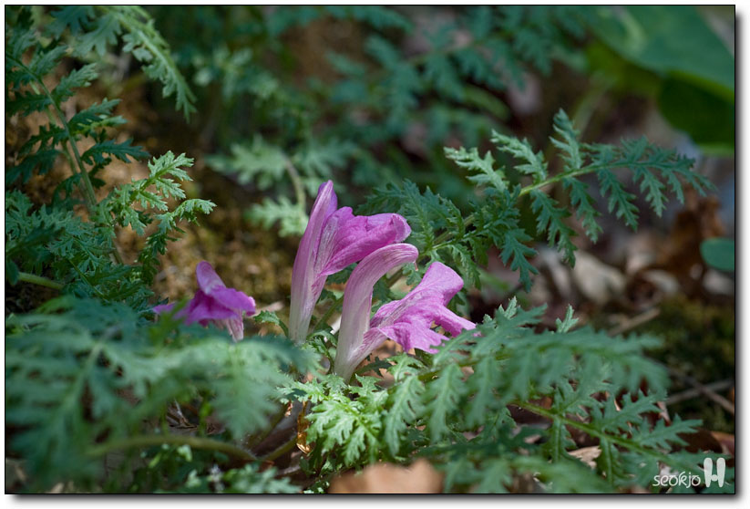 DSCF7900.jpg