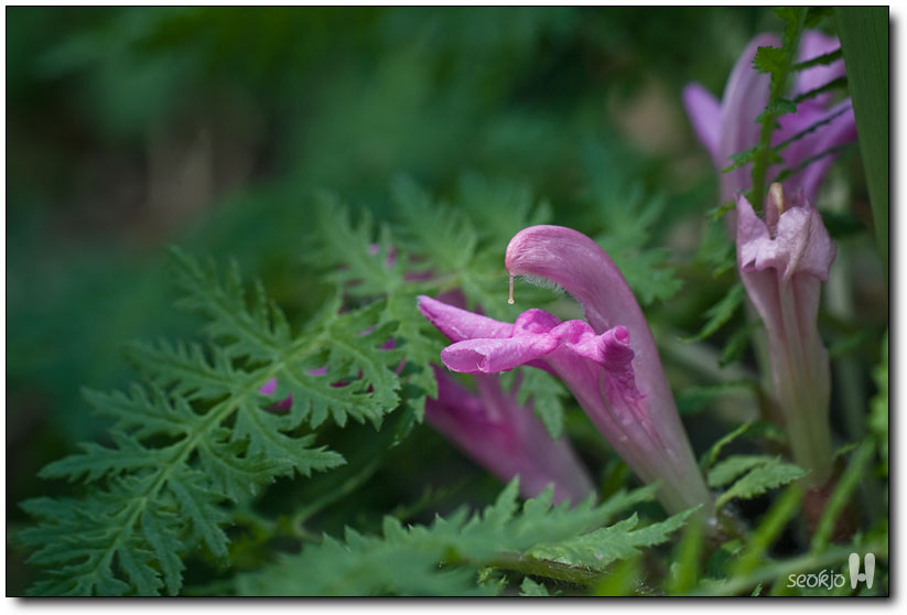 DSCF7925.jpg