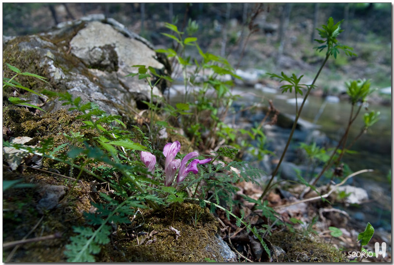 DSCF7915.jpg