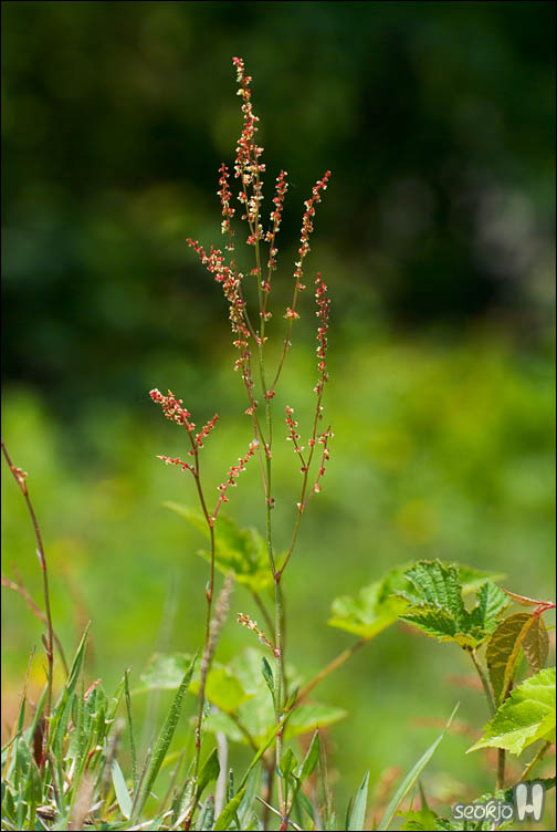 DSCF8361.jpg