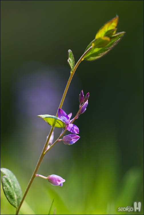 DSCF8356.jpg