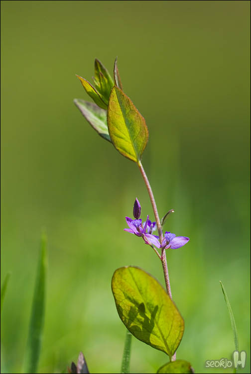 DSCF8358.jpg