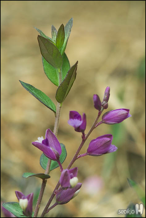 DSCF6270.jpg