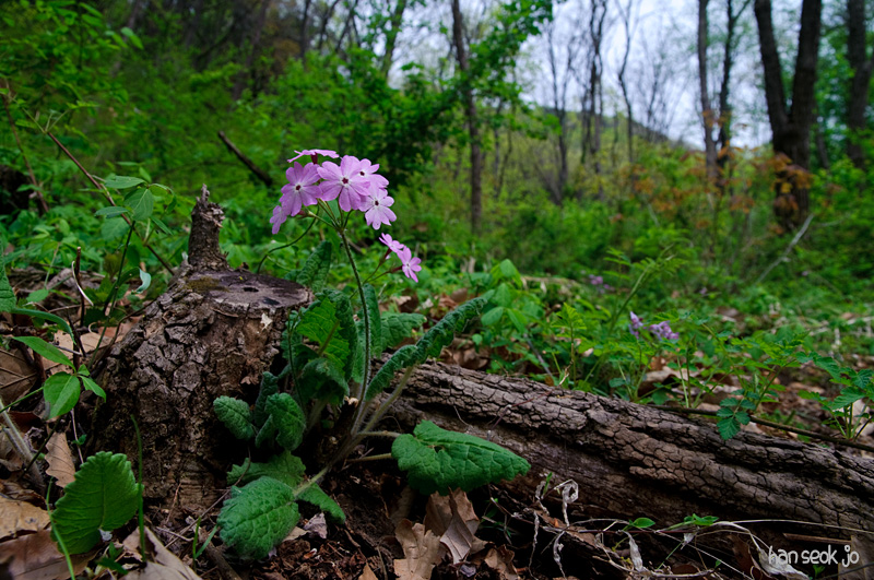 DSC_1189.jpg