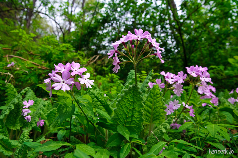 DSC_1227.jpg
