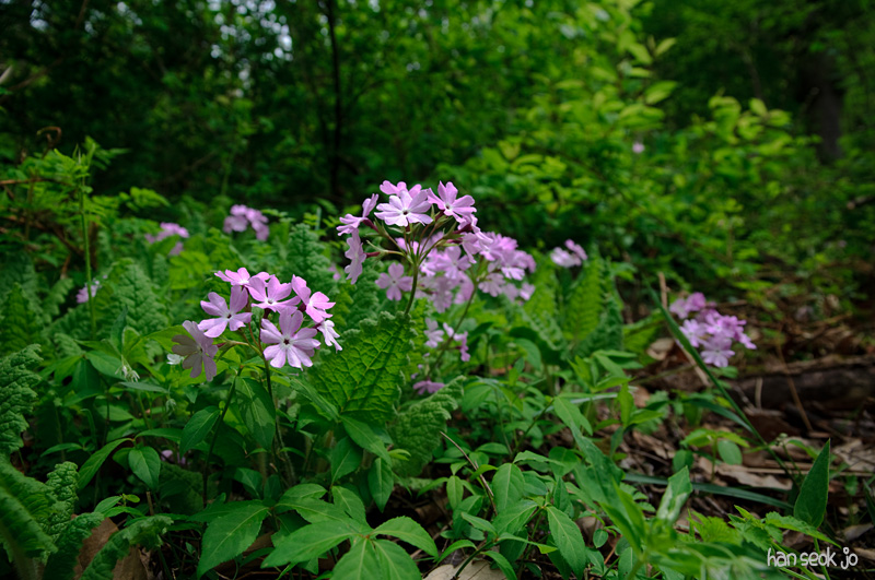 DSC_1192.jpg