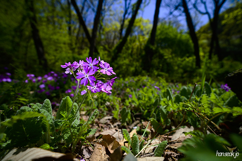 DSC_2158.jpg