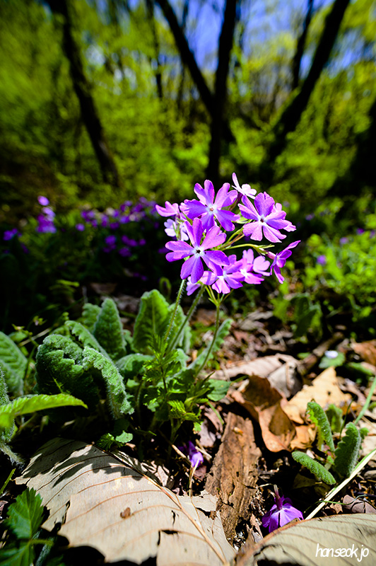 DSC_2136.jpg
