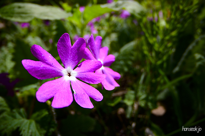 DSC_2159.jpg