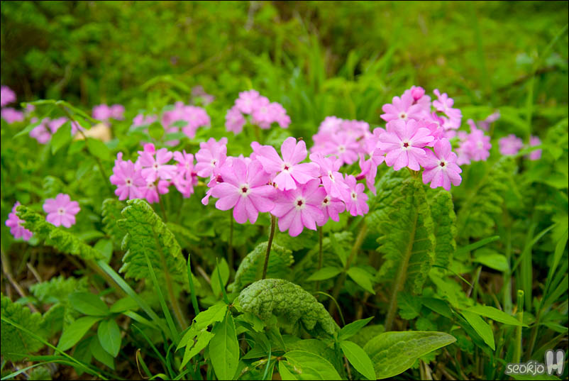 DSCF3362.jpg