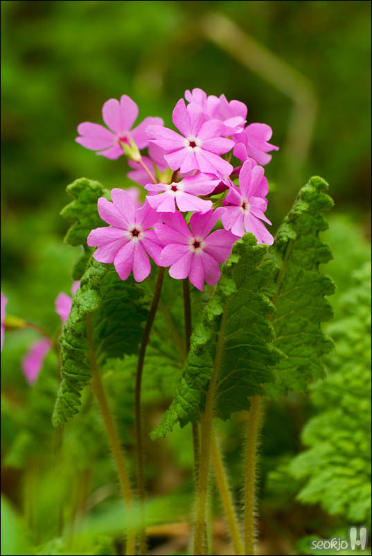 DSCF3370.jpg