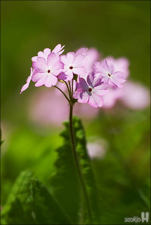 DSCF7714.jpg