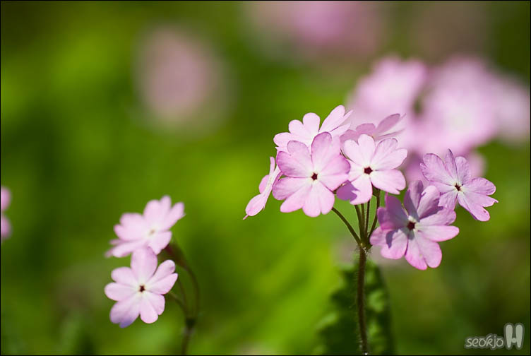 DSCF7715.jpg
