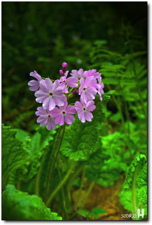 DSCF7882.jpg