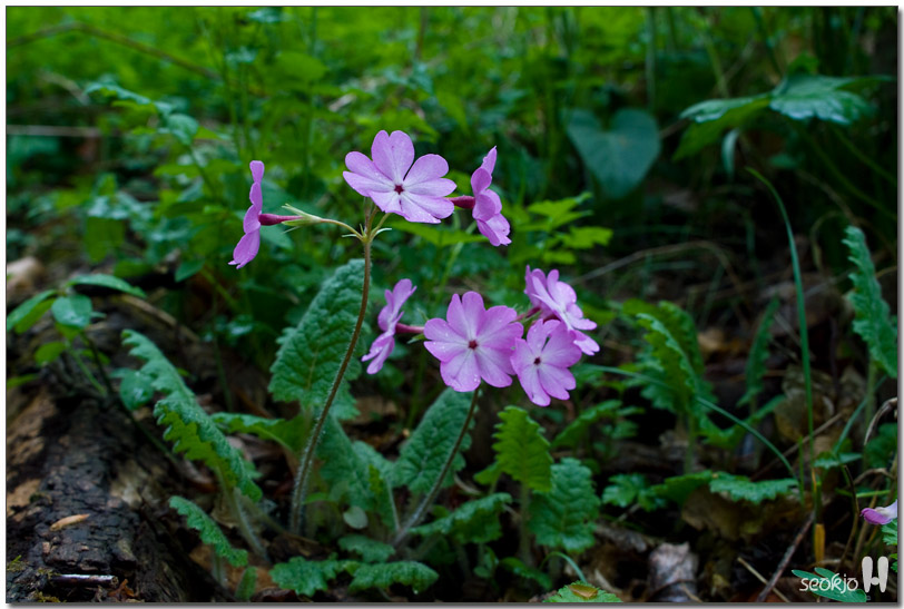 DSCF7859.jpg