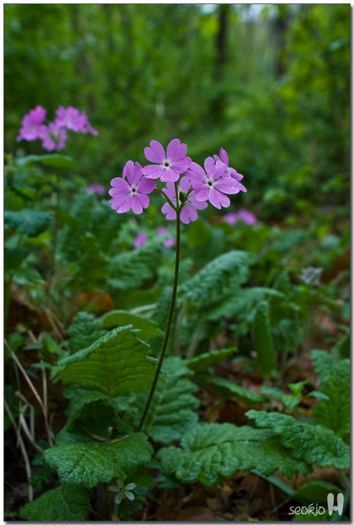 DSCF7878.jpg
