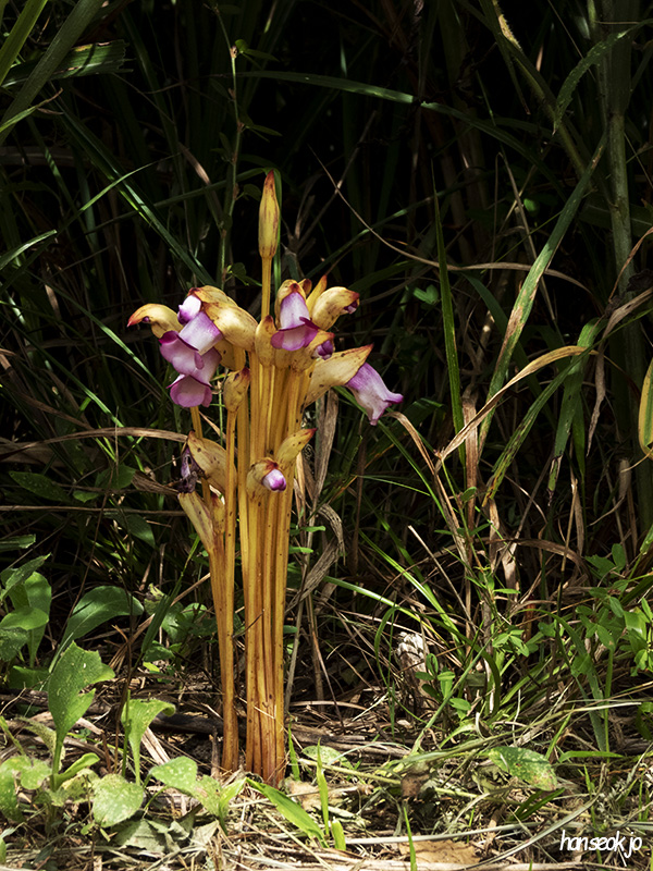 DSCN1256.jpg