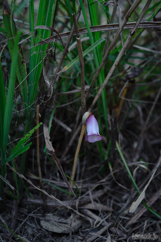 HSJ_0770.jpg