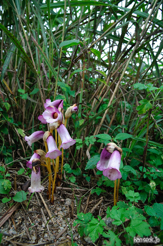 DSC_8415.jpg