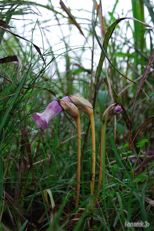 DSC_8438.jpg