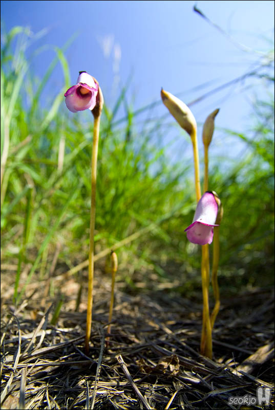 DSCF5408.jpg