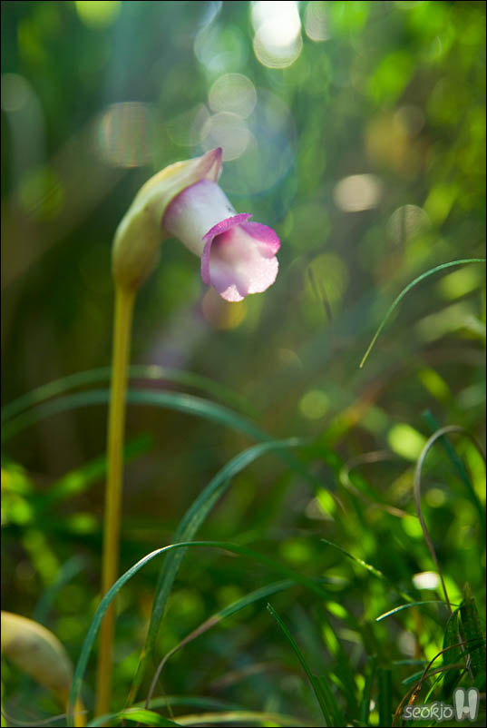DSCF5433.jpg