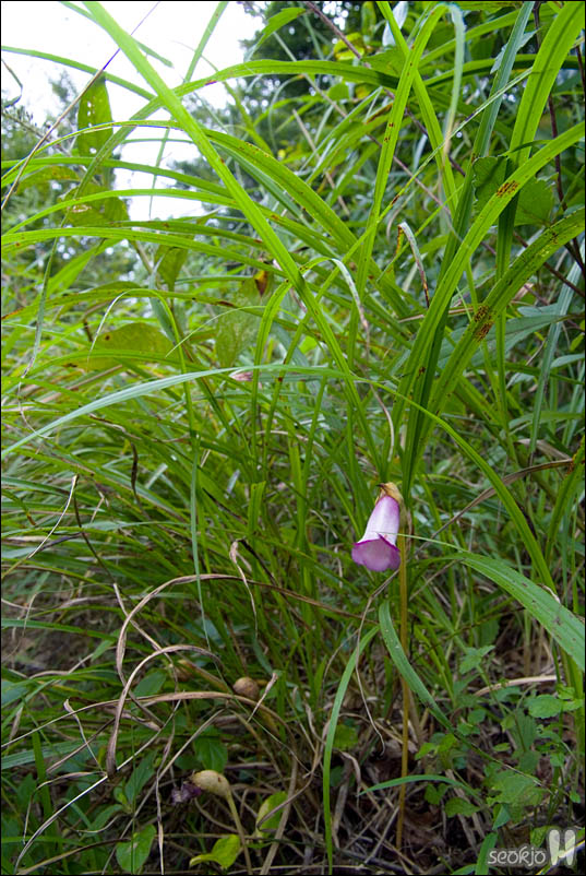 DSCF5490.jpg