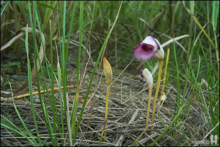 DSCF3752.jpg