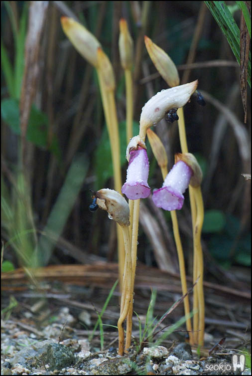 DSCF9076.jpg