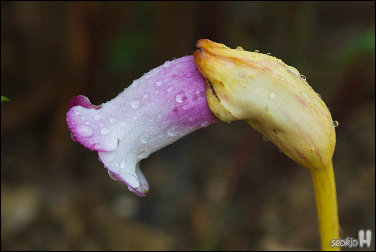 DSCF9104.jpg