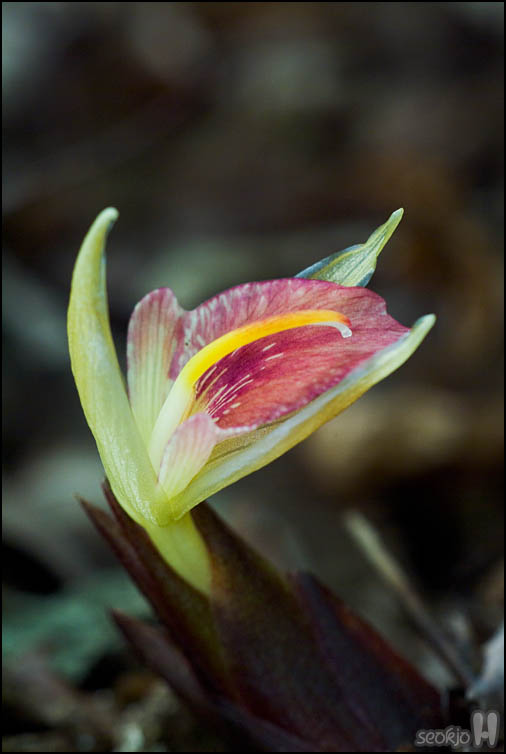 DSCF3699.jpg