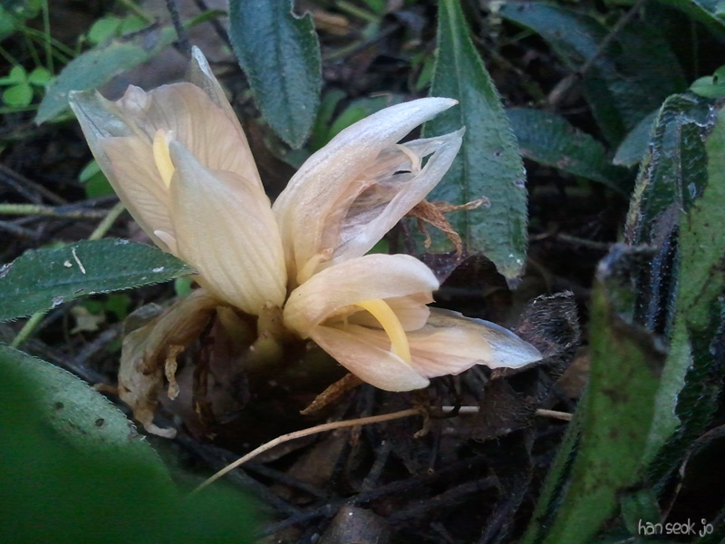 2010-10-23.jpg