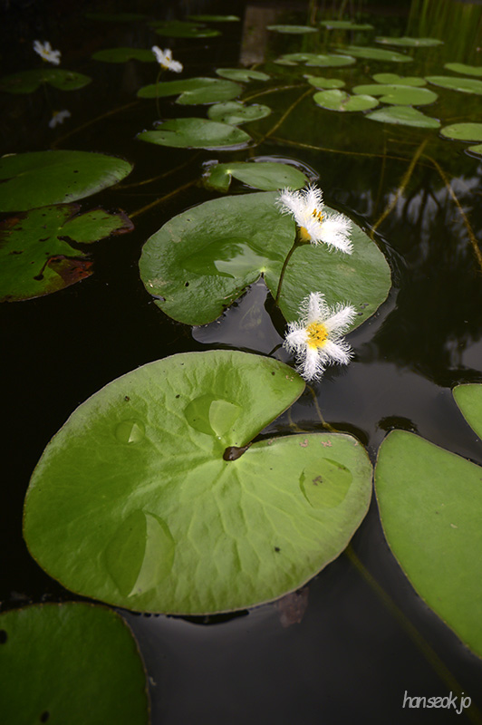DSC_2948.jpg
