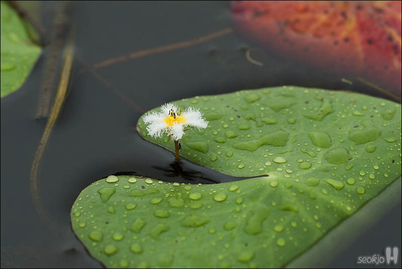 DSCF4332.jpg