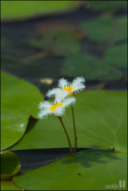 DSCF8139.jpg
