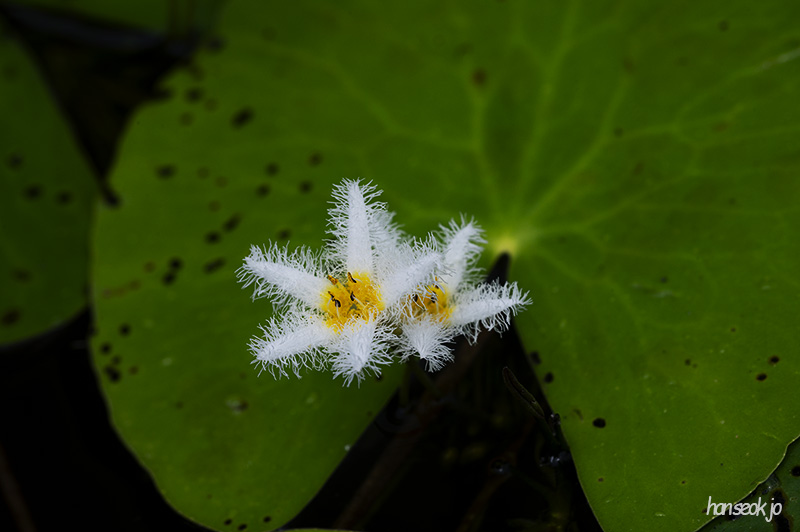 DSC_0092.jpg