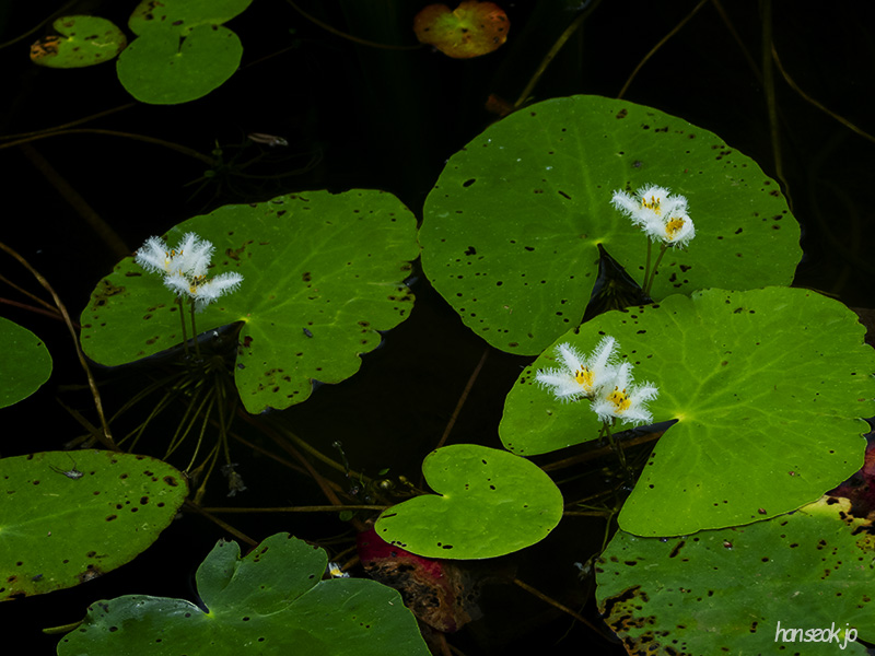 DSCN0156.jpg