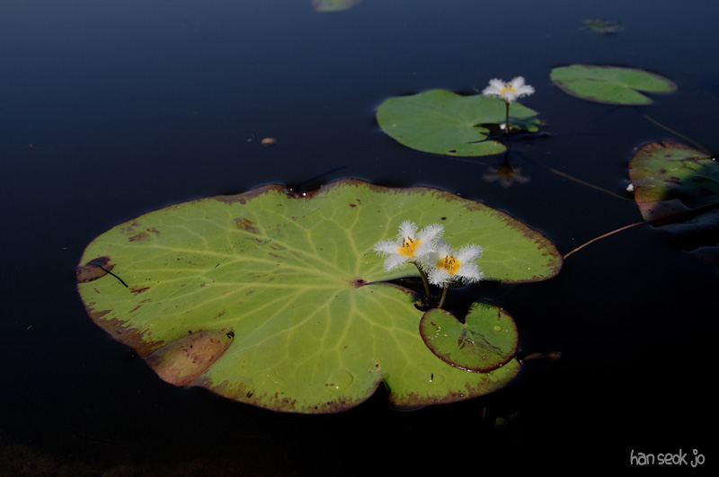 DSC_3639.jpg