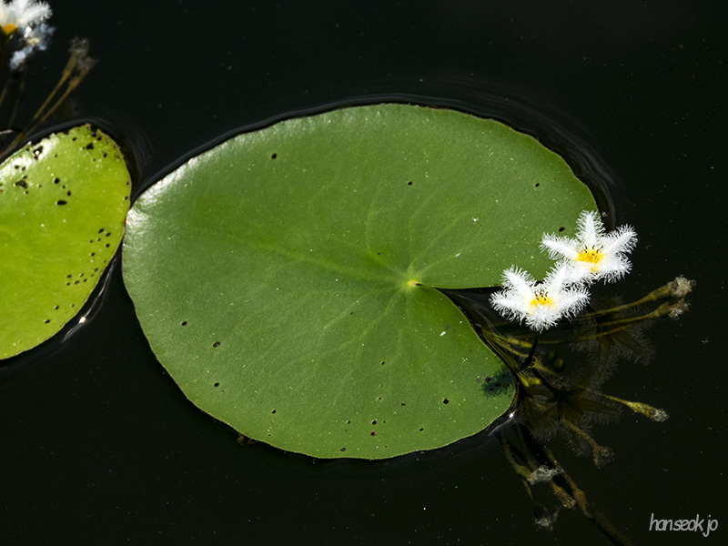 DSCN1022.jpg