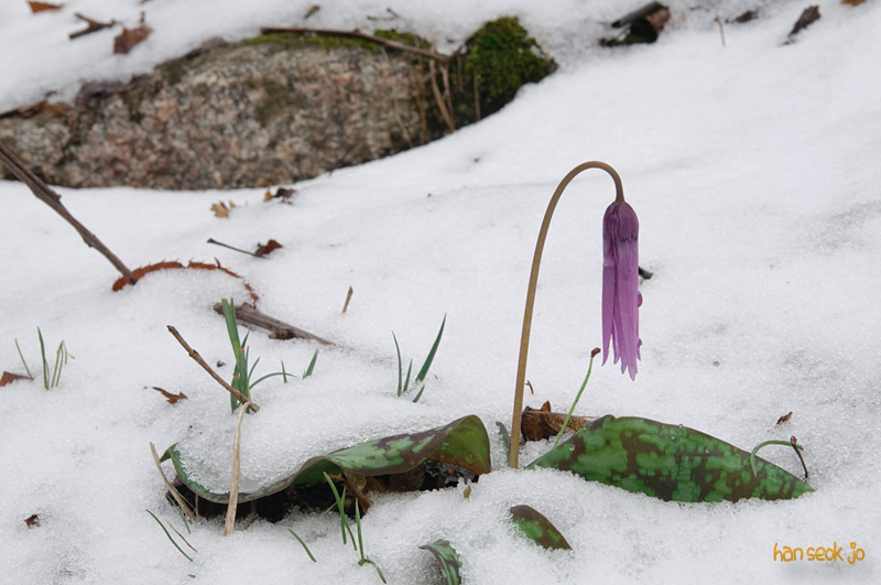 DSC_5707.jpg