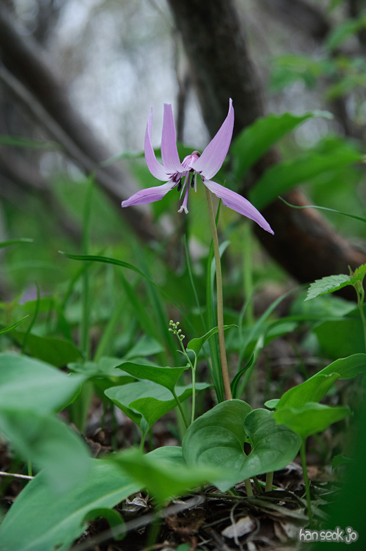 DSC_6516.jpg