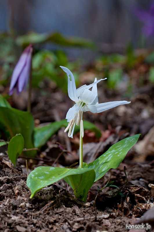 DSC_1027.jpg