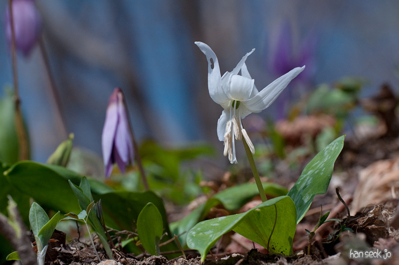 DSC_1040.jpg